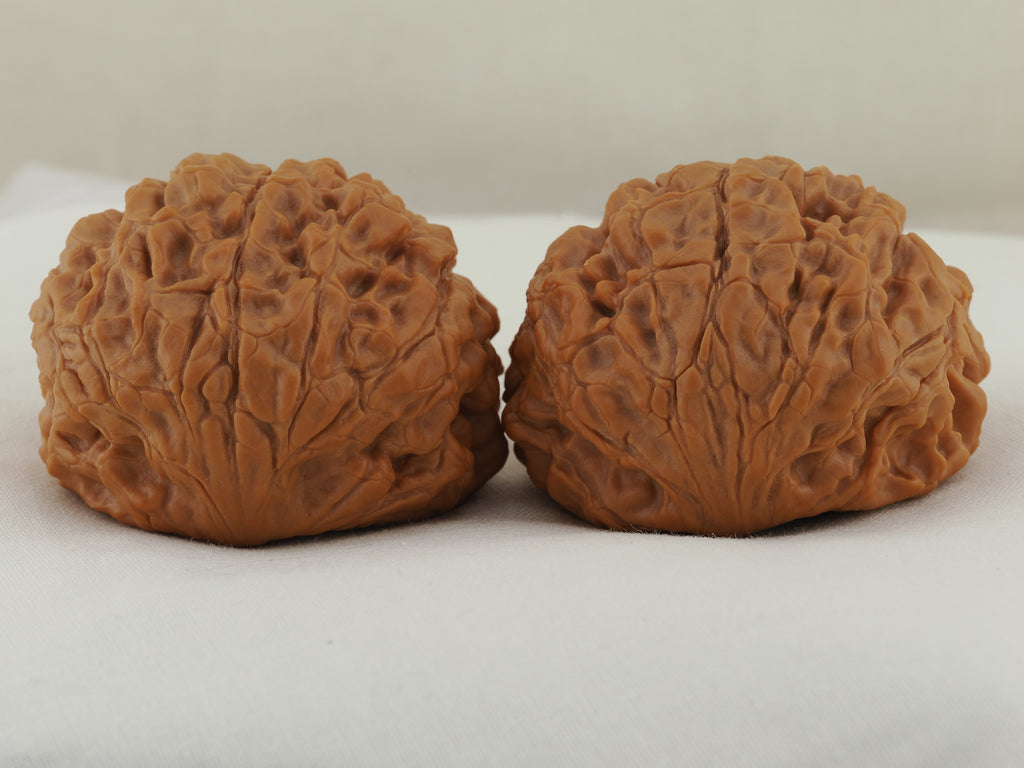 Snakehead Official's Hat Walnut Pair — 47.0 mm (She Tou Guan Mao) — Opposite rear view — WW-00046