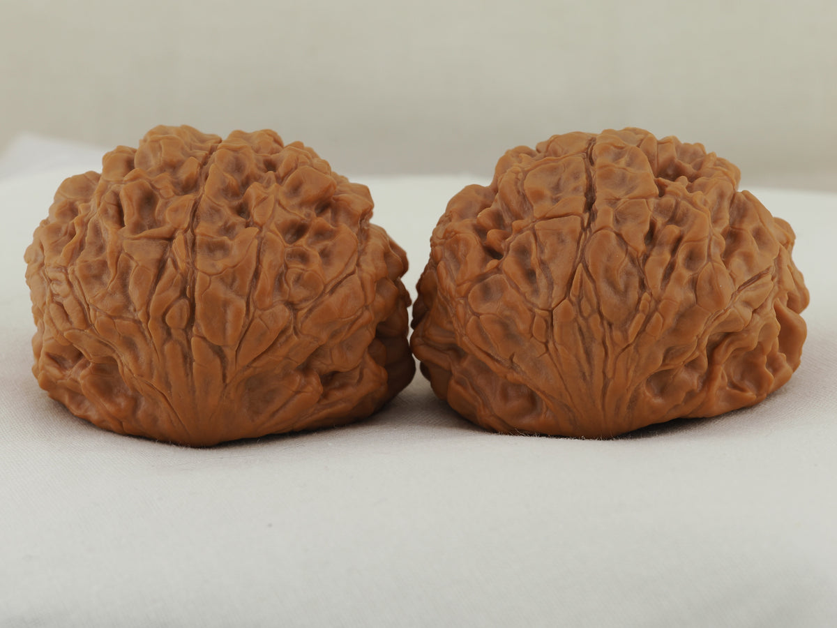 Snakehead Official's Hat Walnut Pair — 47.0 mm (She Tou Guan Mao) — Opposite rear view — WW-00046