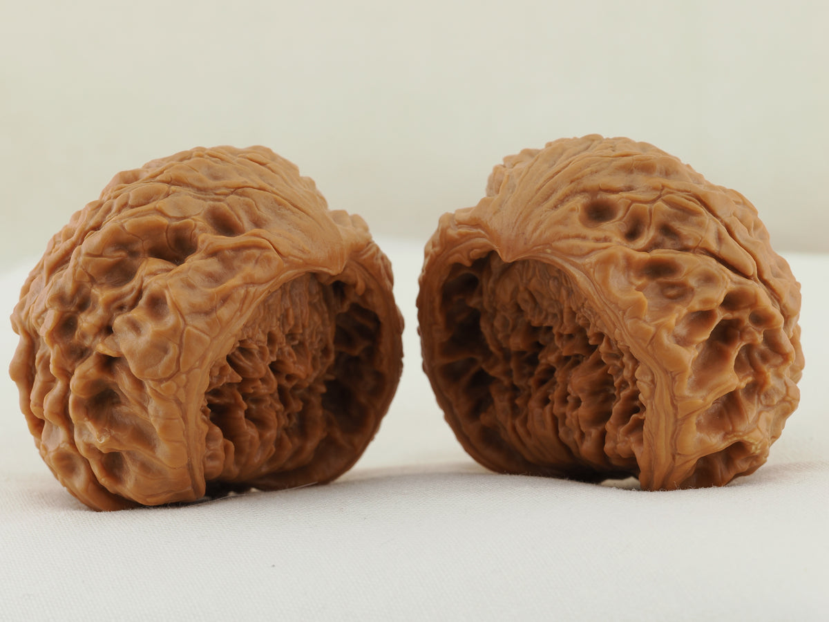 Snakehead Official's Hat Walnut Pair — 47.0 mm (She Tou Guan Mao) — Front three-quarter view — WW-00046