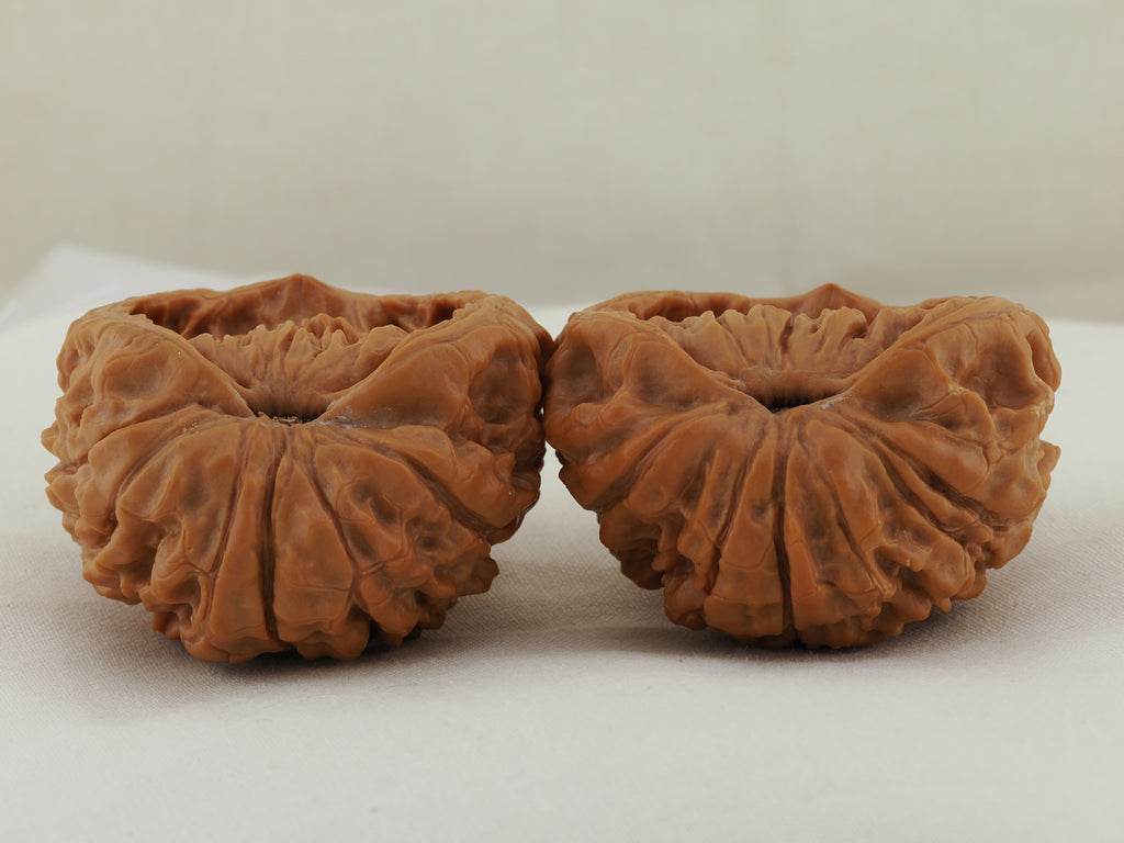 Snakehead Official's Hat Walnut Pair — 47.0 mm (She Tou Guan Mao) — Underside view — WW-00046