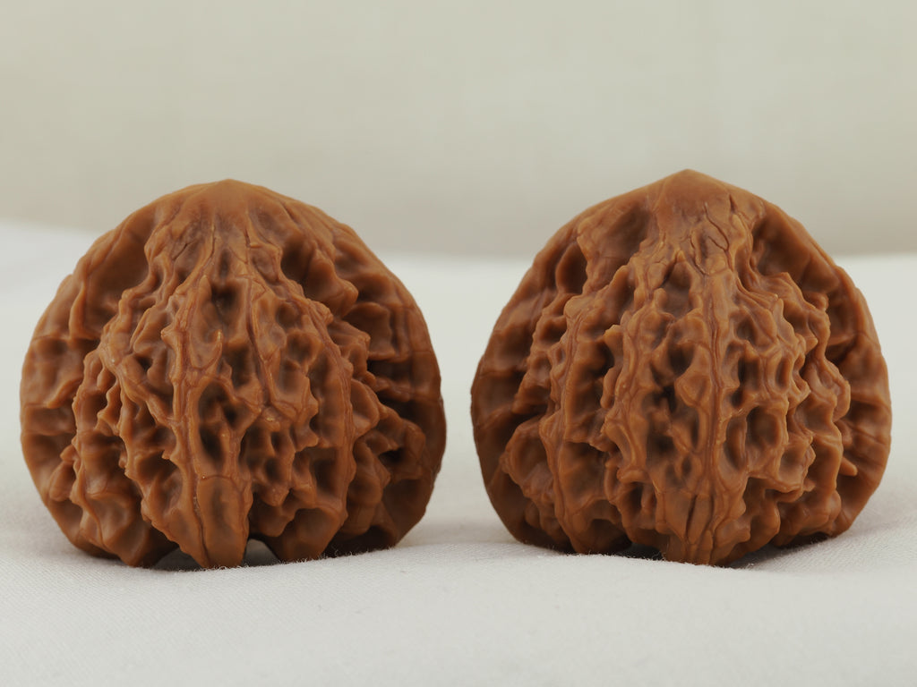 Longmenjian Walnut Pair — 39.0 mm (Long Men Jian) — Front view — WW-00047