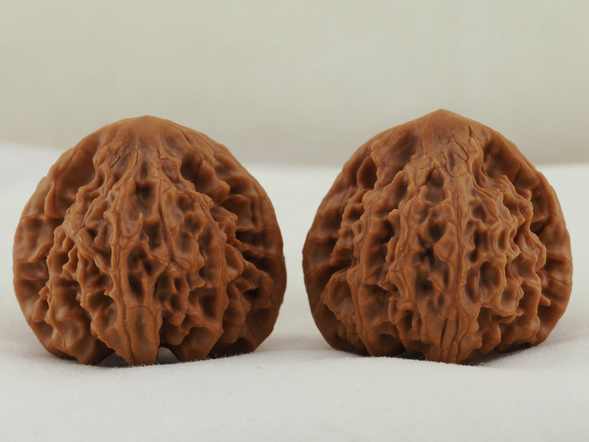 Longmenjian Walnut Pair — 39.0 mm (Long Men Jian) — Front view — WW-00047