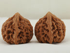 Longmenjian Walnut Pair — 39.0 mm (Long Men Jian) — Side view — WW-00047