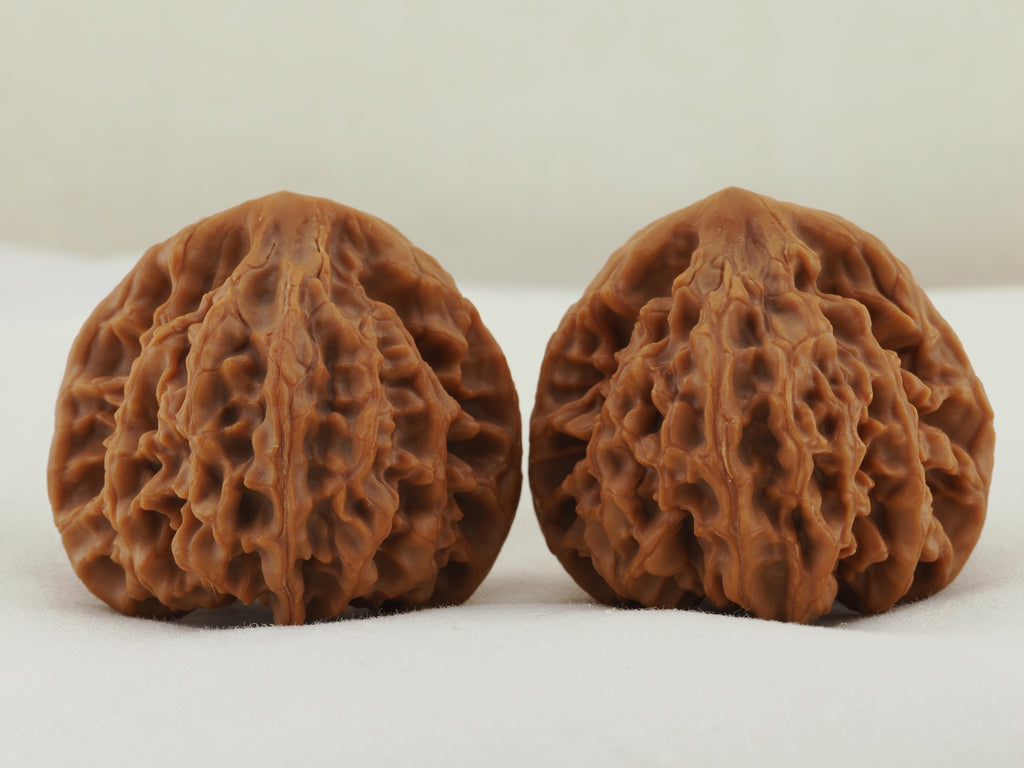 Longmenjian Walnut Pair — 39.0 mm (Long Men Jian) — Reverse view — WW-00047