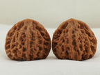 Longmenjian Walnut Pair — 39.0 mm (Long Men Jian) — Reverse view — WW-00047