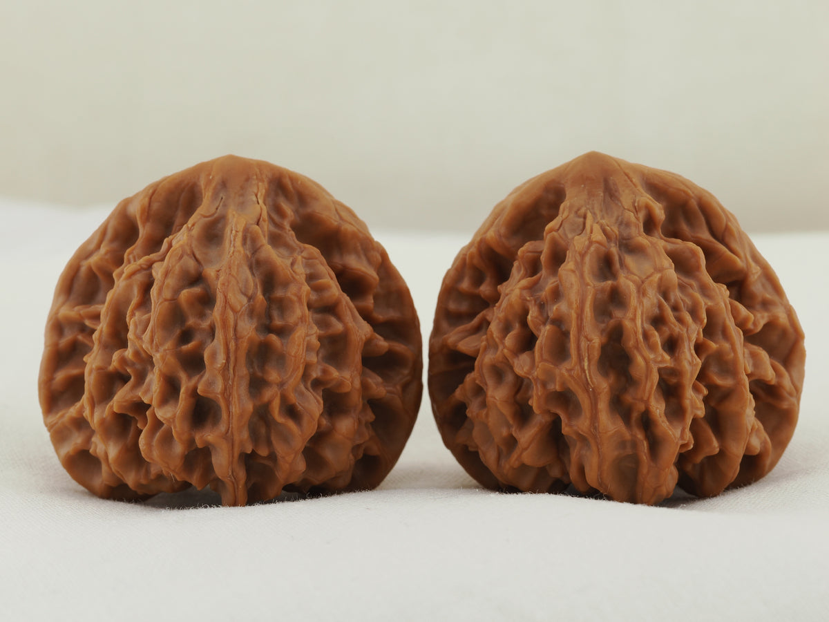 Longmenjian Walnut Pair — 39.0 mm (Long Men Jian) — Reverse view — WW-00047
