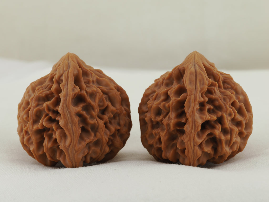 Longmenjian Walnut Pair — 39.0 mm (Long Men Jian) — Opposite side view — WW-00047