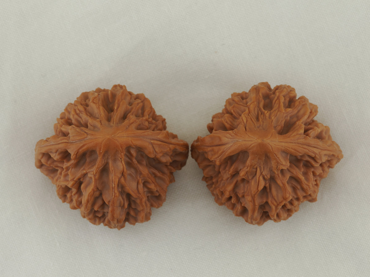Longmenjian Walnut Pair — 39.0 mm (Long Men Jian) — Crown view — WW-00047