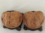 Toad Head Dragon Toad Carved Walnut Pair — 44.0 mm (Long Chan Ha Ma Tou) — Carved crown detail — WW-00048