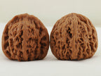 Nanjiang Stone Walnut Pair — 43.0 mm (Nan Jiang Shi) — Reverse view — WW-00049