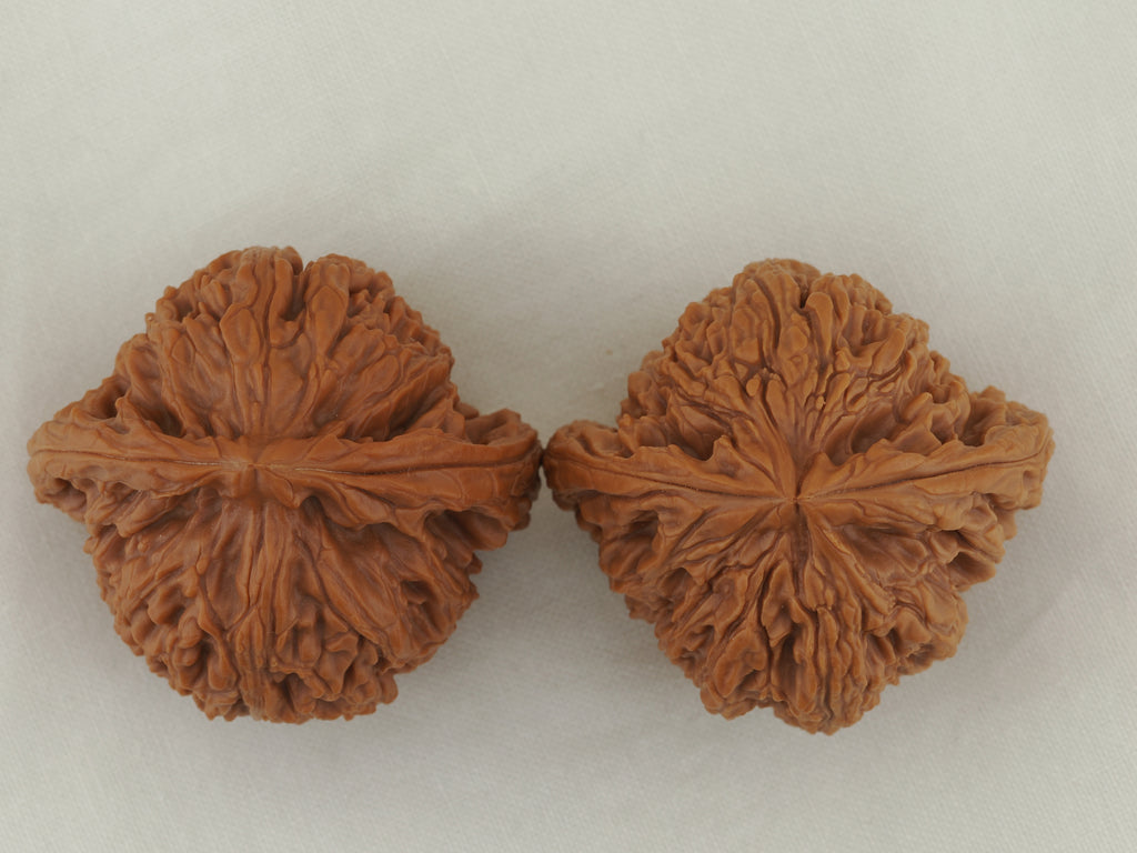 Nanjiang Stone Walnut Pair — 43.0 mm (Nan Jiang Shi) — Crown view — WW-00049