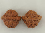 Nanjiang Stone Walnut Pair — 43.0 mm (Nan Jiang Shi) — Crown view — WW-00049