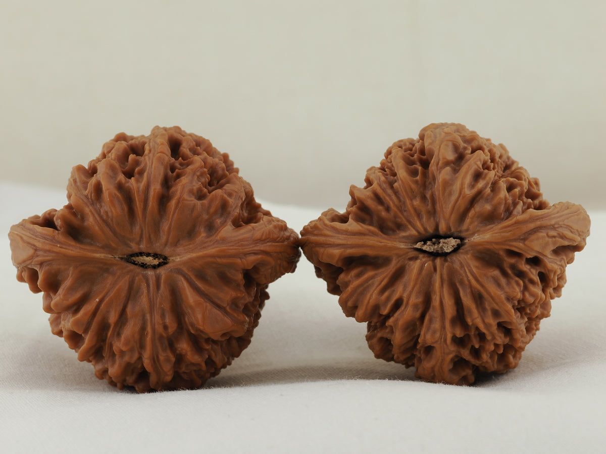 Nanjiang Stone Walnut Pair — 43.0 mm (Nan Jiang Shi) — Base view — WW-00049