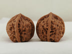 Jade Seal Four Ridge Walnut Pair — 44.0 mm (Yu Xi Si Leng) — Side view — WW-00050