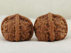 Jade Seal Four Ridge Walnut Pair — 44.0 mm (Yu Xi Si Leng) — Reverse view — WW-00050