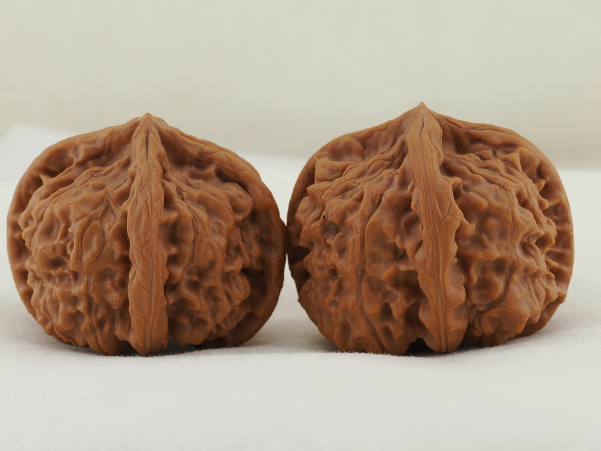 Jade Seal Four Ridge Walnut Pair — 44.0 mm (Yu Xi Si Leng) — Reverse view — WW-00050