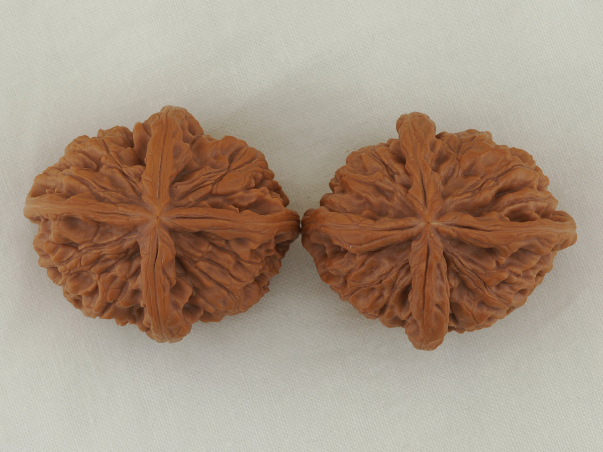 Jade Seal Four Ridge Walnut Pair — 44.0 mm (Yu Xi Si Leng) — Crown view — WW-00050