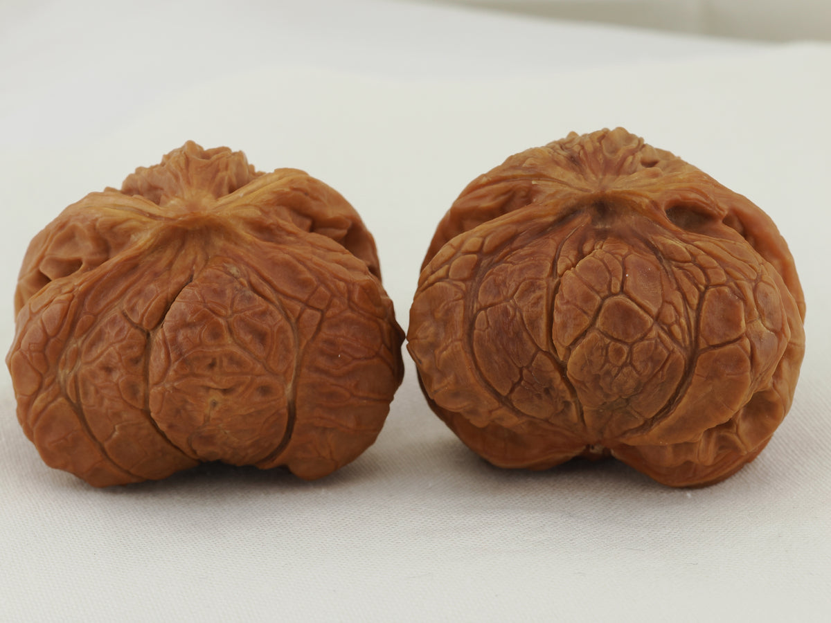 Flying Serpent Palace Lantern Walnut Pair — 39.0 mm (Gong Deng Fei She) — Front view — WW-00051