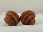 Flying Serpent Palace Lantern Walnut Pair — 39.0 mm (Gong Deng Fei She) — Three-quarter view — WW-00051
