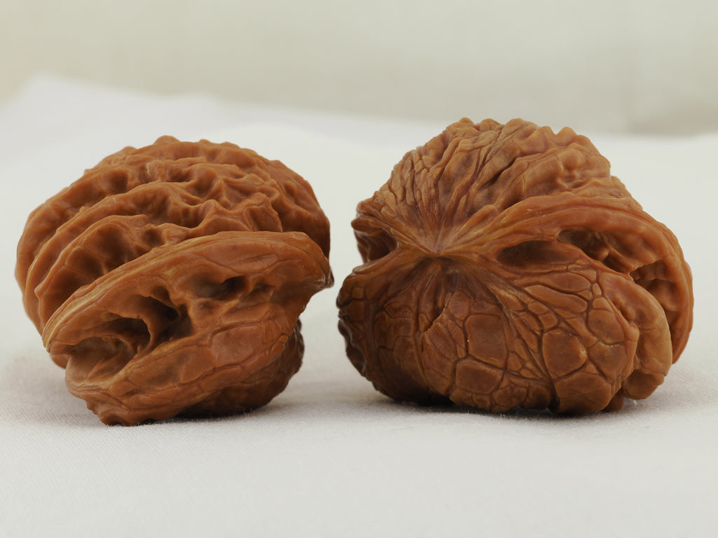 Flying Serpent Palace Lantern Walnut Pair — 39.0 mm (Gong Deng Fei She) — Opposite side view — WW-00051
