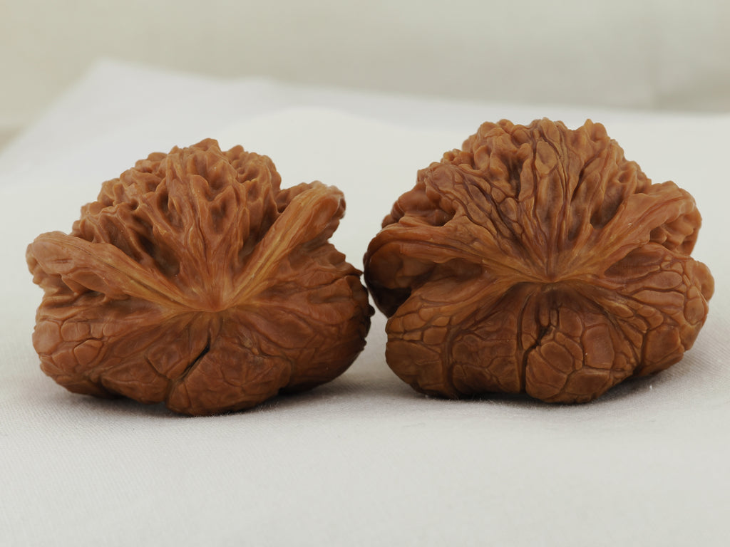 Flying Serpent Palace Lantern Walnut Pair — 39.0 mm (Gong Deng Fei She) — Shell reverse view — WW-00051