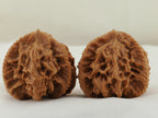 Empire Three Ridge Devour Carved Walnut Pair — 50.0 mm (Di Wang Tun Shi) — Front view — WW-00052