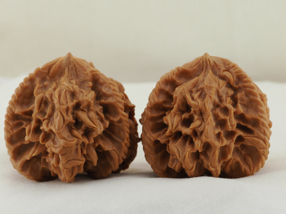 Empire Three Ridge Devour Carved Walnut Pair — 50.0 mm (Di Wang Tun Shi) — Front view — WW-00052