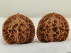 Empire Three Ridge Devour Carved Walnut Pair — 50.0 mm (Di Wang Tun Shi) — Side view — WW-00052
