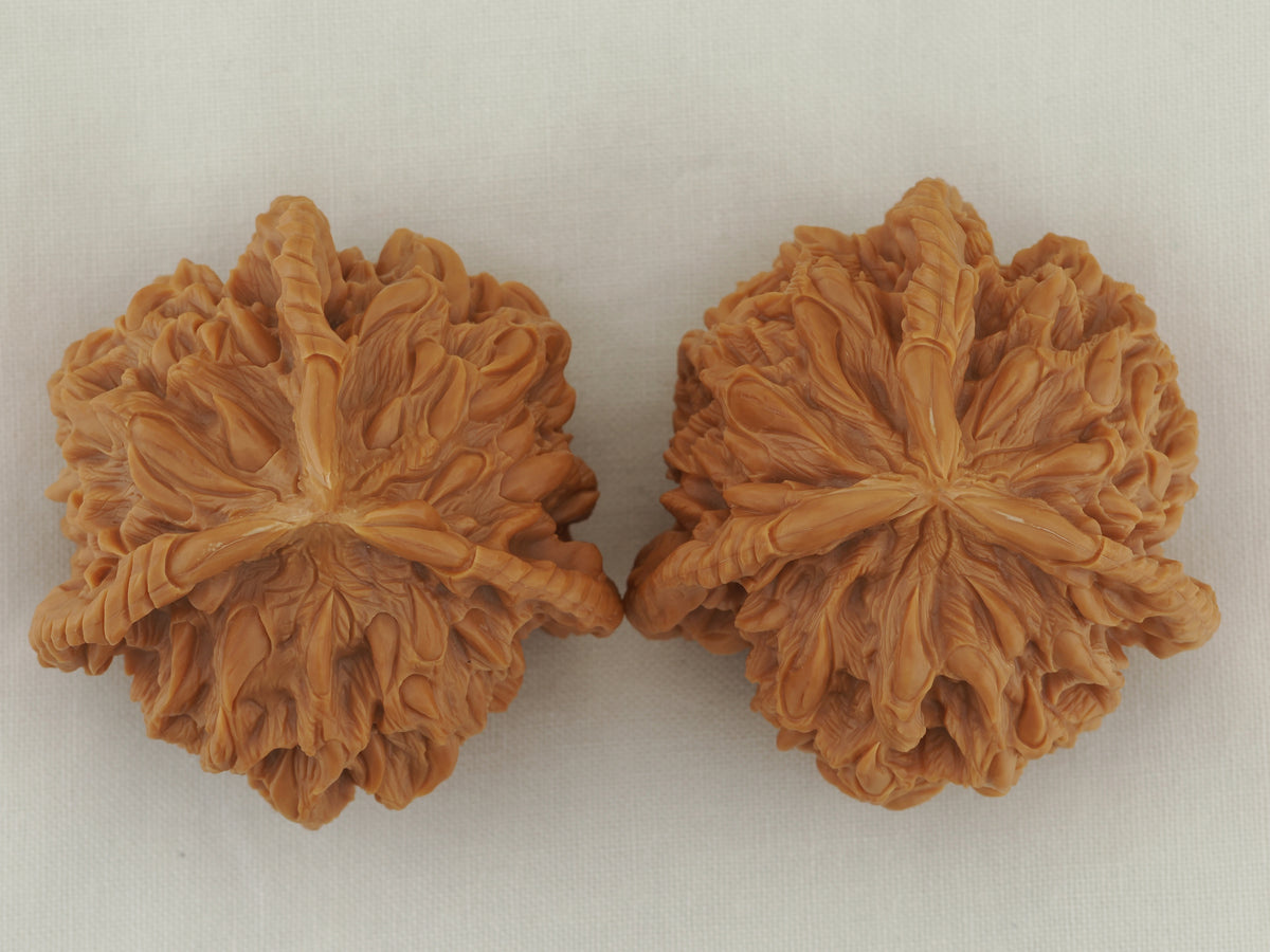 Empire Three Ridge Devour Carved Walnut Pair — 50.0 mm (Di Wang Tun Shi) — Crown view — WW-00052