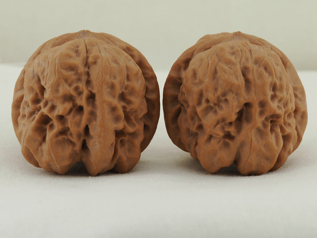 Zen Master walnut pair (Da Mo) — WW-00053, exact pair view