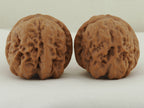 Zen Master walnut pair (Da Mo) — WW-00053, exact pair view
