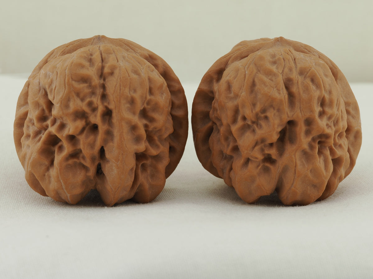 Zen Master walnut pair (Da Mo) — WW-00053, exact pair view