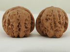 Zen Master walnut pair (Da Mo) — WW-00053, exact pair view