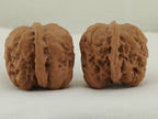 Zen Master walnut pair (Da Mo) — WW-00053, exact pair view