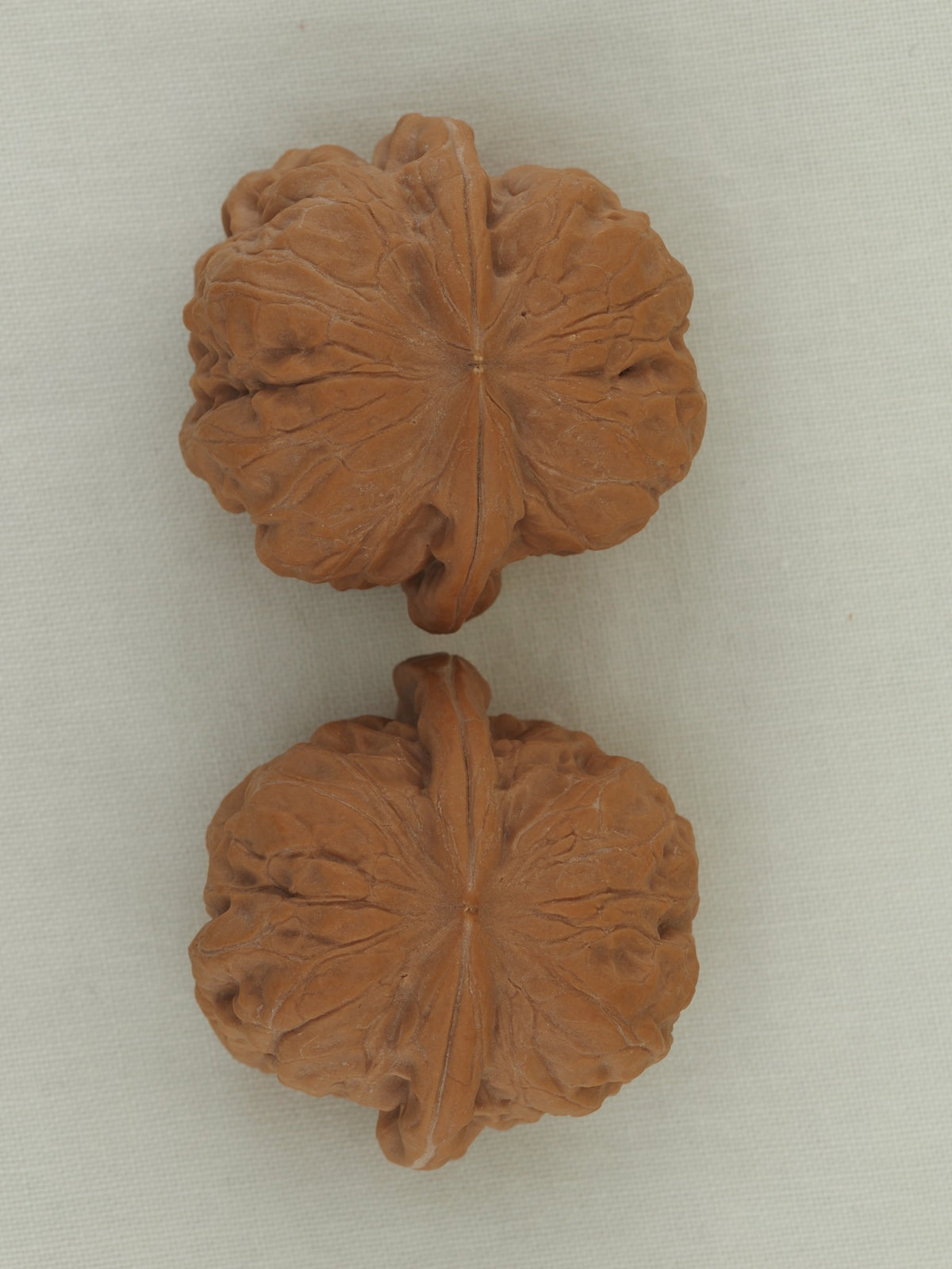 Zen Master walnut pair (Da Mo) — WW-00053, exact pair view