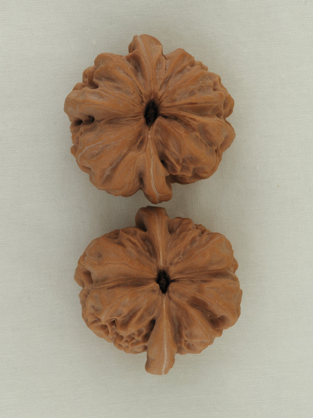 Zen Master walnut pair (Da Mo) — WW-00053, exact pair view