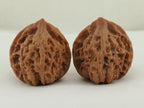 Lantern walnut pair (Deng Lou) — WW-00055, exact pair view