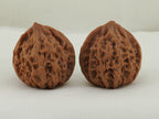Lantern walnut pair (Deng Lou) — WW-00055, exact pair view