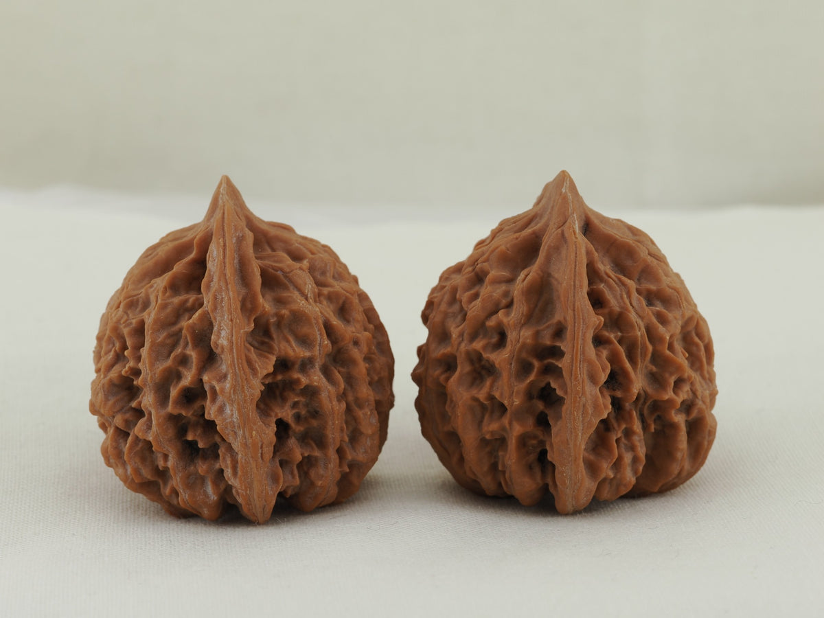 Lantern walnut pair (Deng Lou) — WW-00055, exact pair view