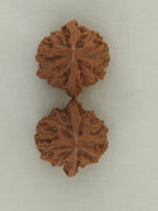 Lantern walnut pair (Deng Lou) — WW-00055, exact pair view