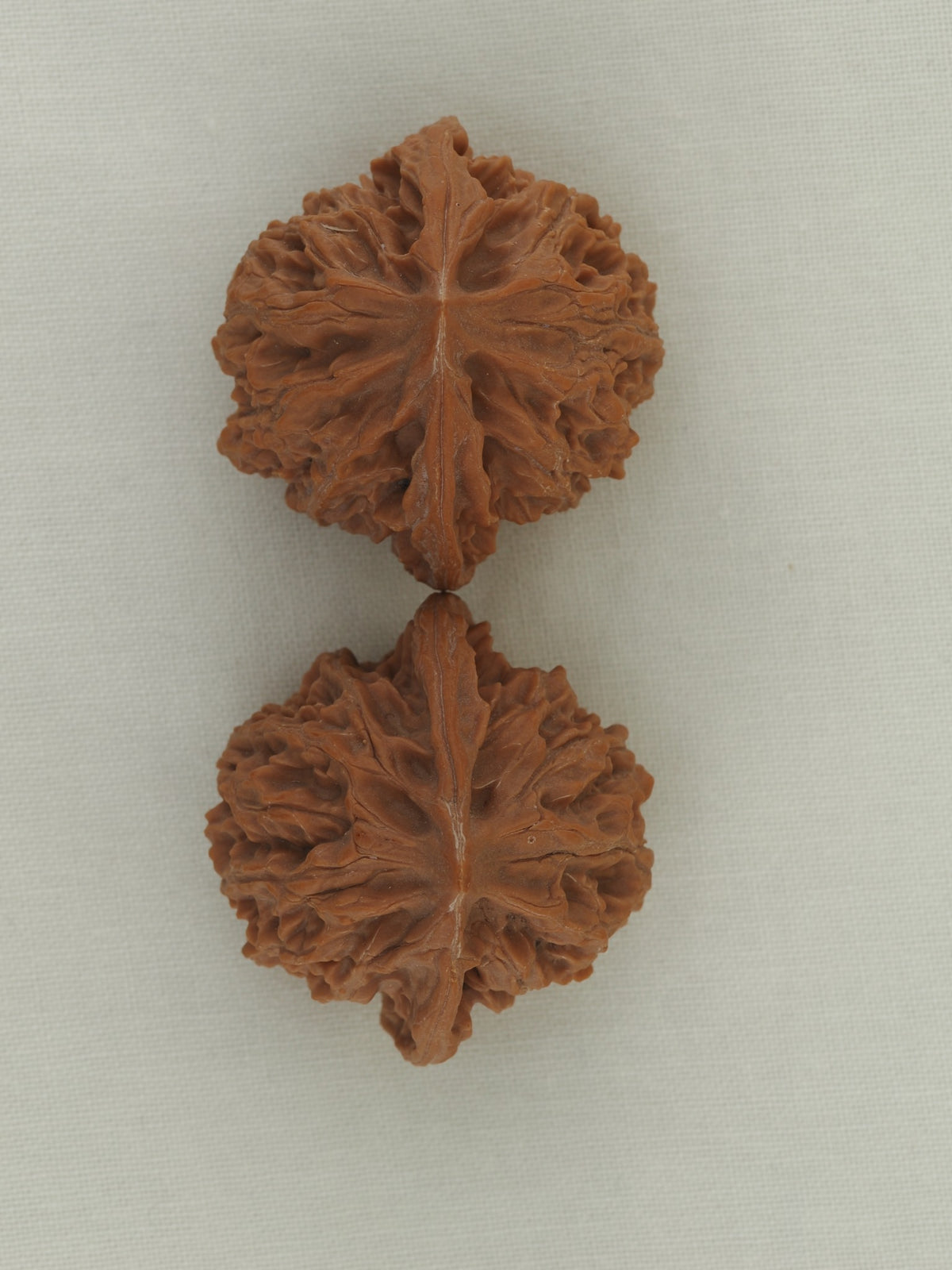 Lantern walnut pair (Deng Lou) — WW-00055, exact pair view