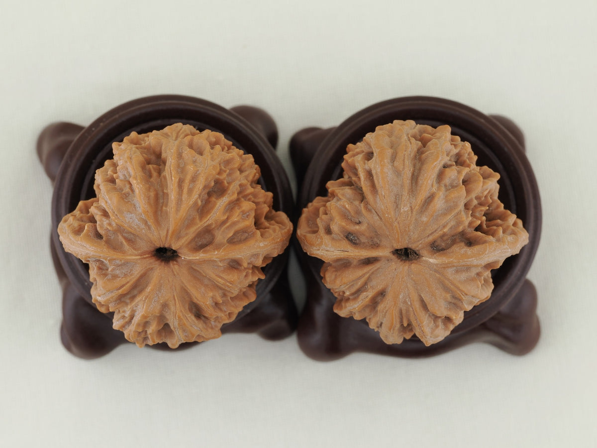 Lantern walnut pair (Deng Lou) — WW-00055, exact pair view