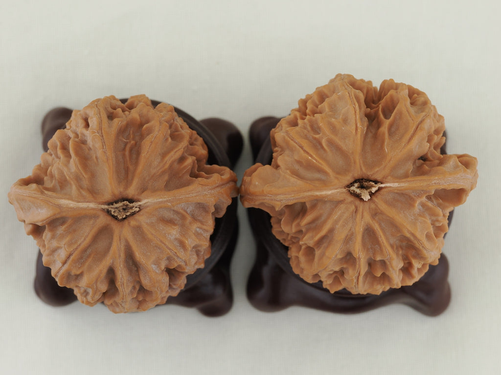 Jade Seal walnut pair (Yu Xi) — WW-00054, exact pair view