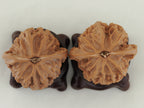 Jade Seal walnut pair (Yu Xi) — WW-00054, exact pair view