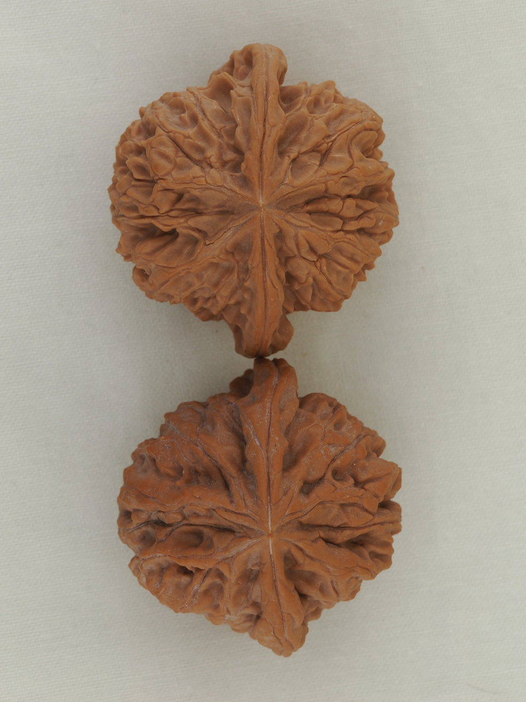 Jade Seal walnut pair (Yu Xi) — WW-00054, exact pair view