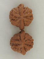 Jade Seal walnut pair (Yu Xi) — WW-00054, exact pair view