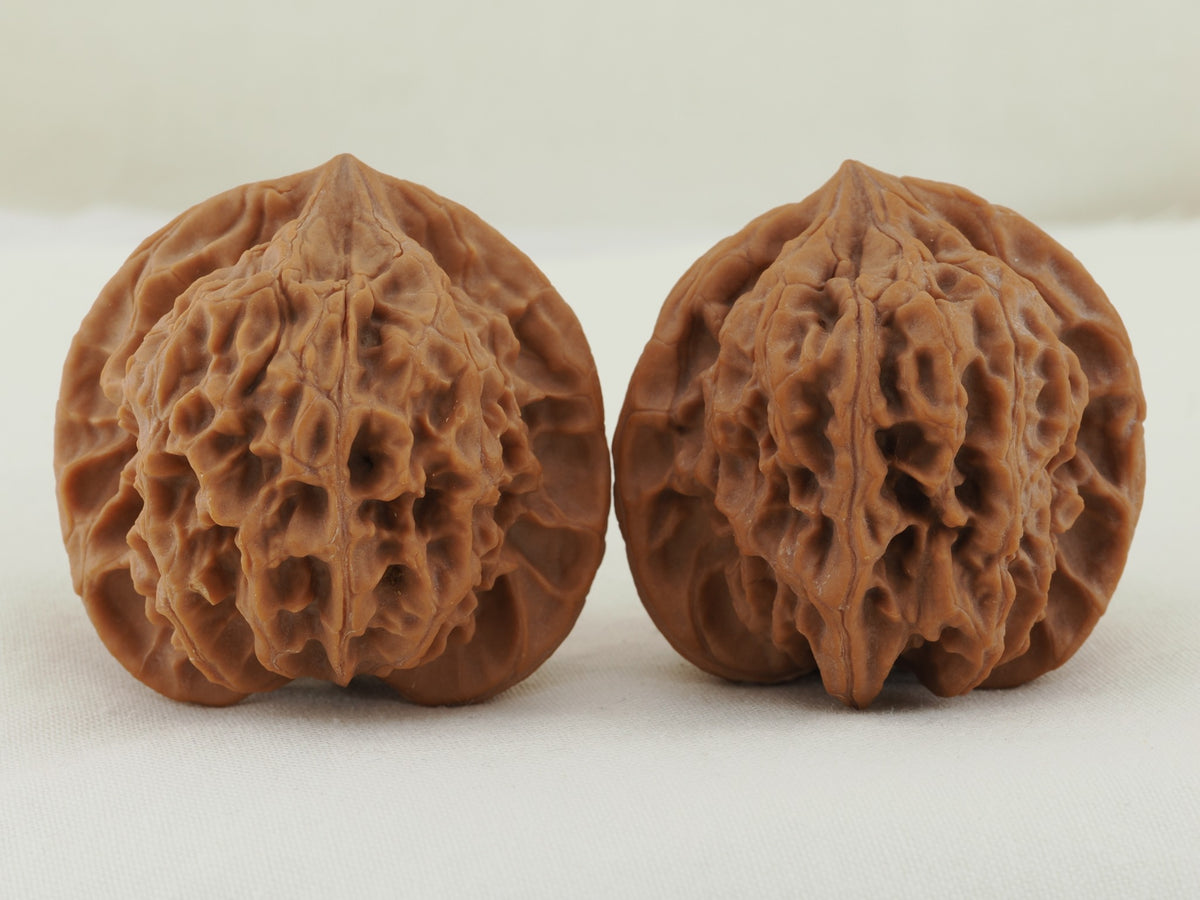 Jade Seal walnut pair (Yu Xi) — WW-00054, exact pair view