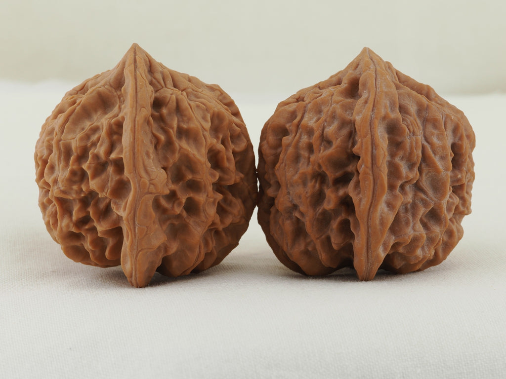 Jade Seal walnut pair (Yu Xi) — WW-00054, exact pair view