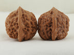 Jade Seal walnut pair (Yu Xi) — WW-00054, exact pair view