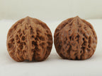 Jade Seal walnut pair (Yu Xi) — WW-00054, exact pair view